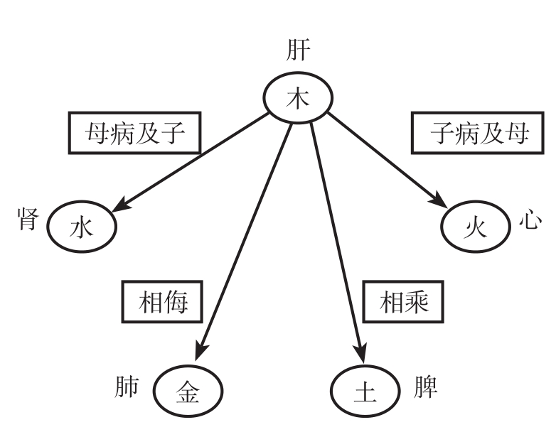 五脏传变规律示意图
